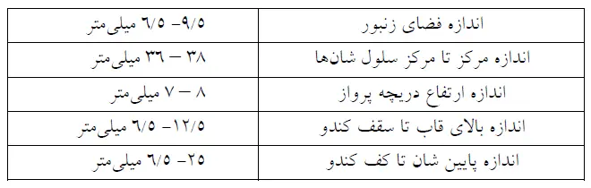 اندازه های بیولوژیک